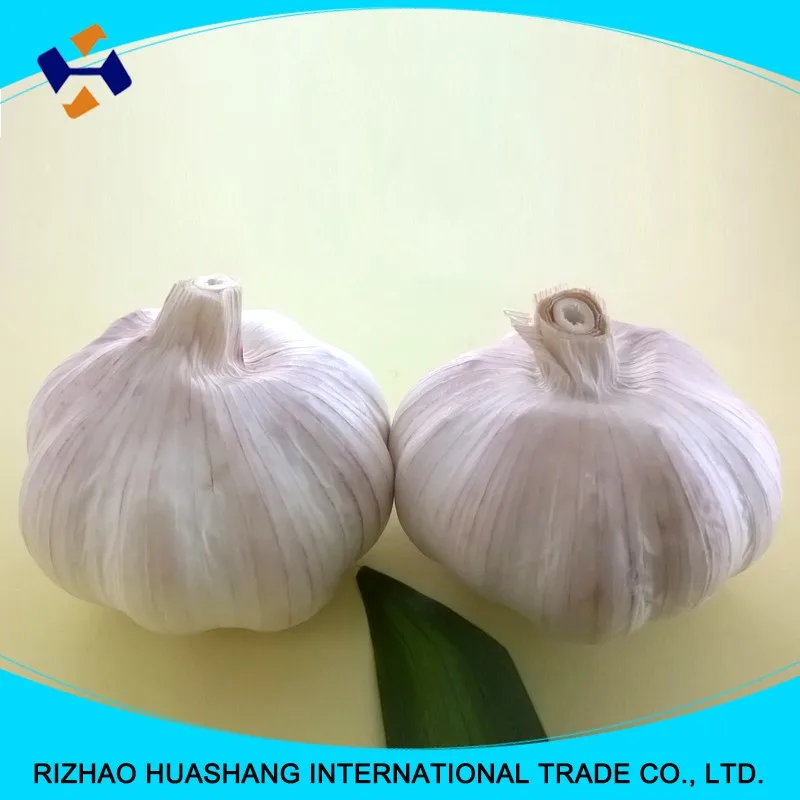 normal white fresh garlic size5.0cm