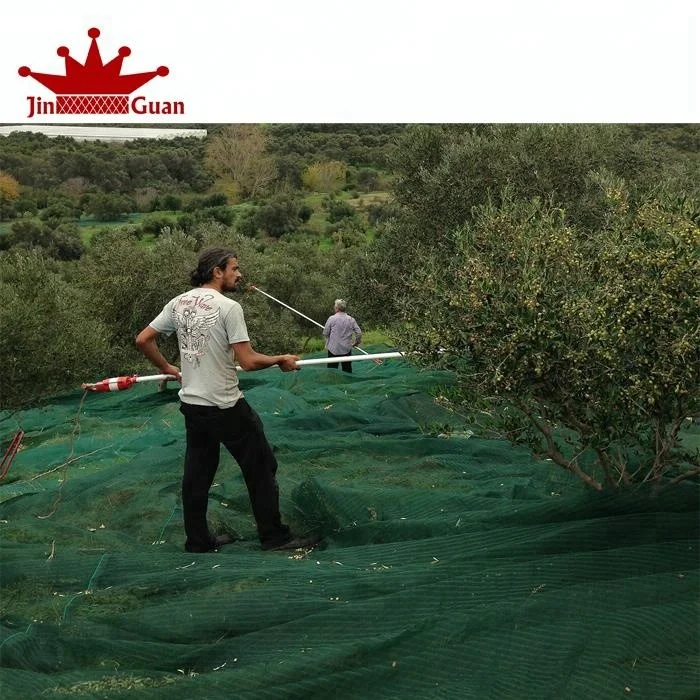 olive net 12.jpg