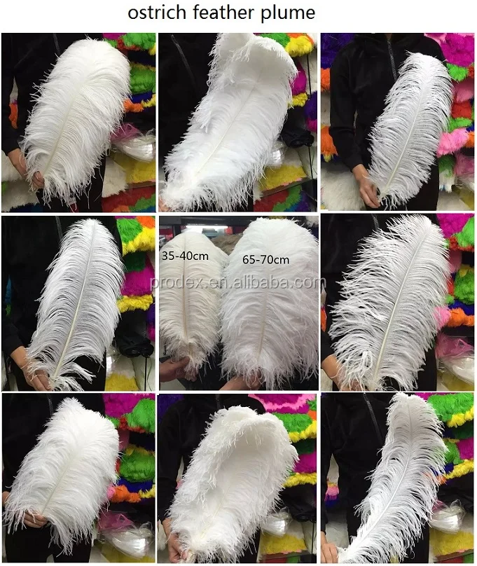 High Quality White Cheap Ostrich Feather Buy Turquoise Ostrich