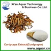 GMP&BV factory supply sexual enhancement medicine/Chinese special herb/Cordyceps Sinensis
