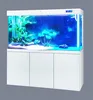 Cleair C series bottom filtration glass aquarium - CAD wall type