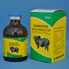 Hot sale veterinary multivitamin injection cattle calcium supplement