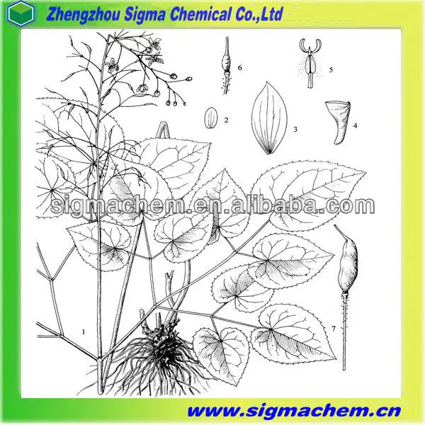 6 Epimedium Sagittatum Extract.jpg