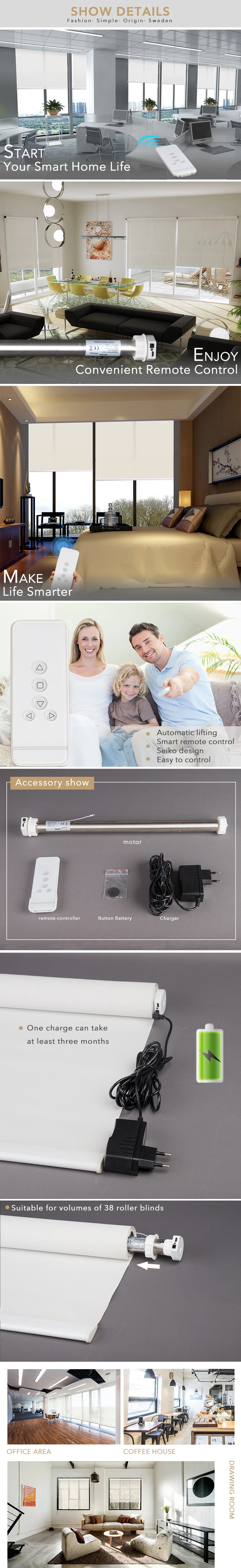 Motorized Screen.jpg