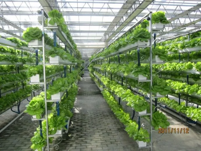 Hydroponic Rockwool