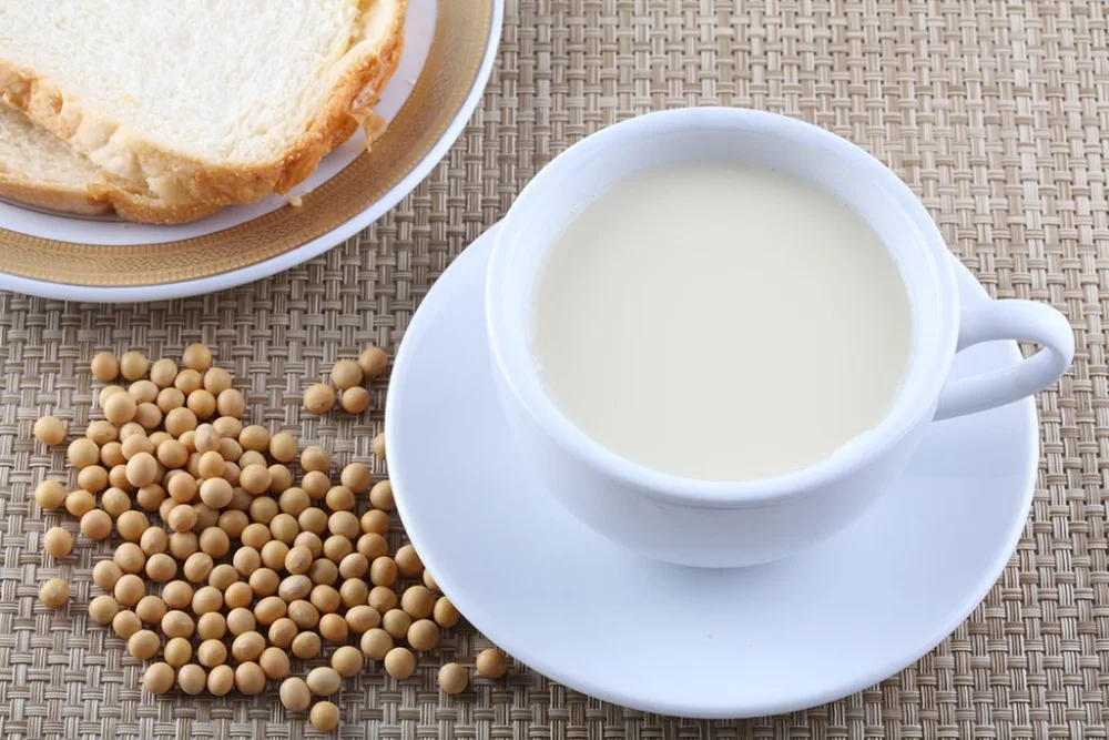 easy operation best quality commercial soya milk/soybean milk