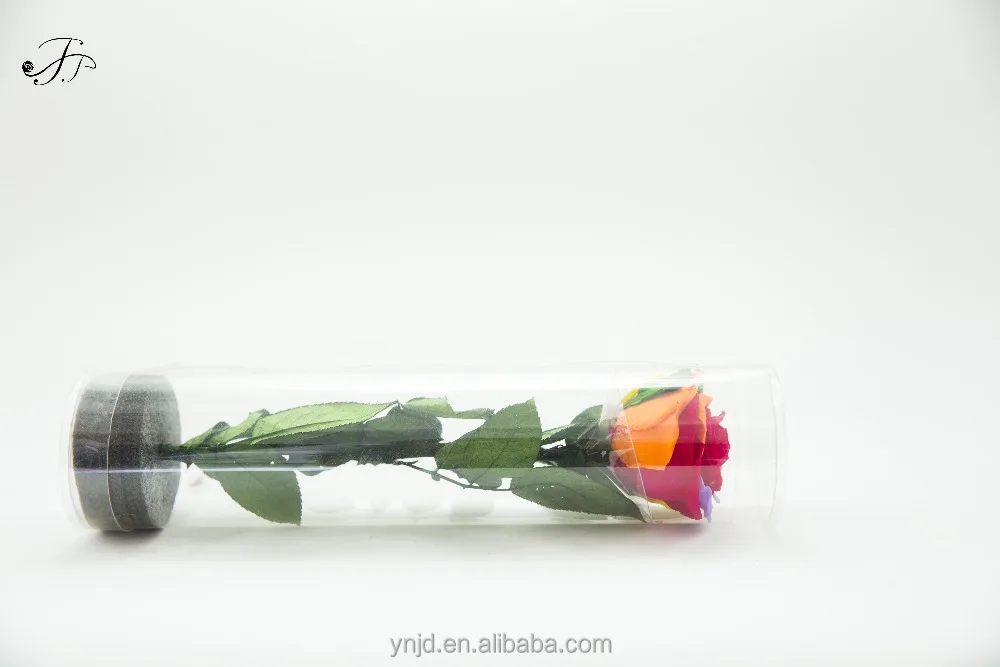 
Top Quality Preserved Stem Rose for Home Decoration or Wedding Decoration 