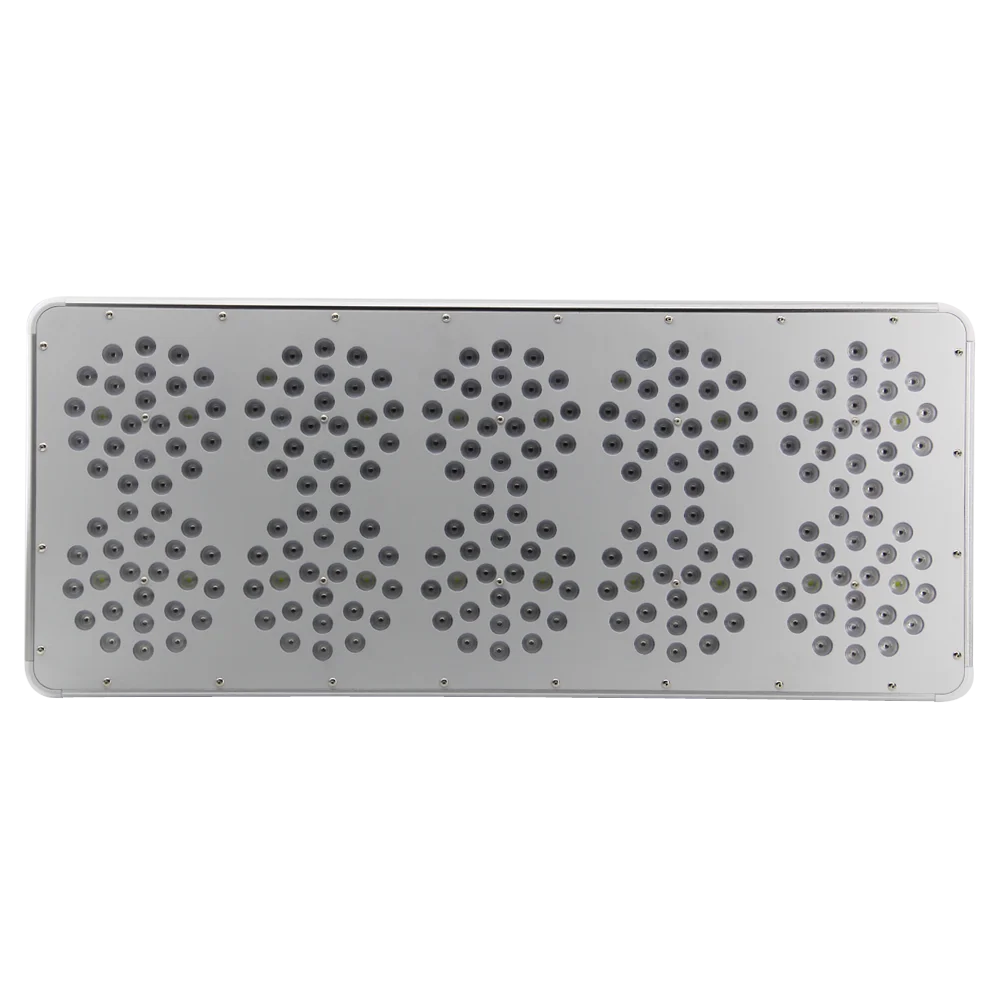 medical plants (5).png