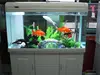 Desktop usb mini fish tank aquarium with running water