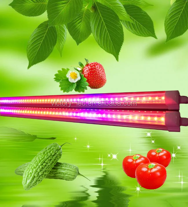 greenhouse tent plant lighting G13 Integrated T8 led grow light tube red blue color