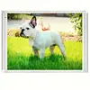 Embedded lcd monitor 15 inch flat panel display elevator for industry using