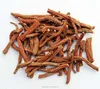 Natural danshen root slice Radix Salviae Miltiorrhizae from Salvia miltiorrhiza Bge for herbal medicine