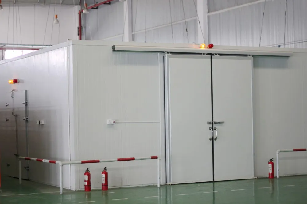 Cold Room Coolroom Freezer Refrigerated Warehouse - Buy Cold Room