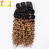 Wholesale Curly Style Ombre 1b/Brown Brazilian Human Cuticle Hligned Hair Weft