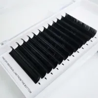 

deep black easy fanning eyelash extensions super soft 8-17mm mega volume lashes