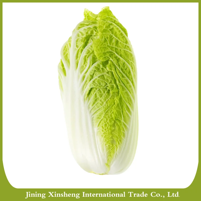 
2020 new crop fresh chinese celery cabbage 