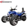 2015 EEC Approved Low Price 12V 9AH China Beach Buggy (AT2507)