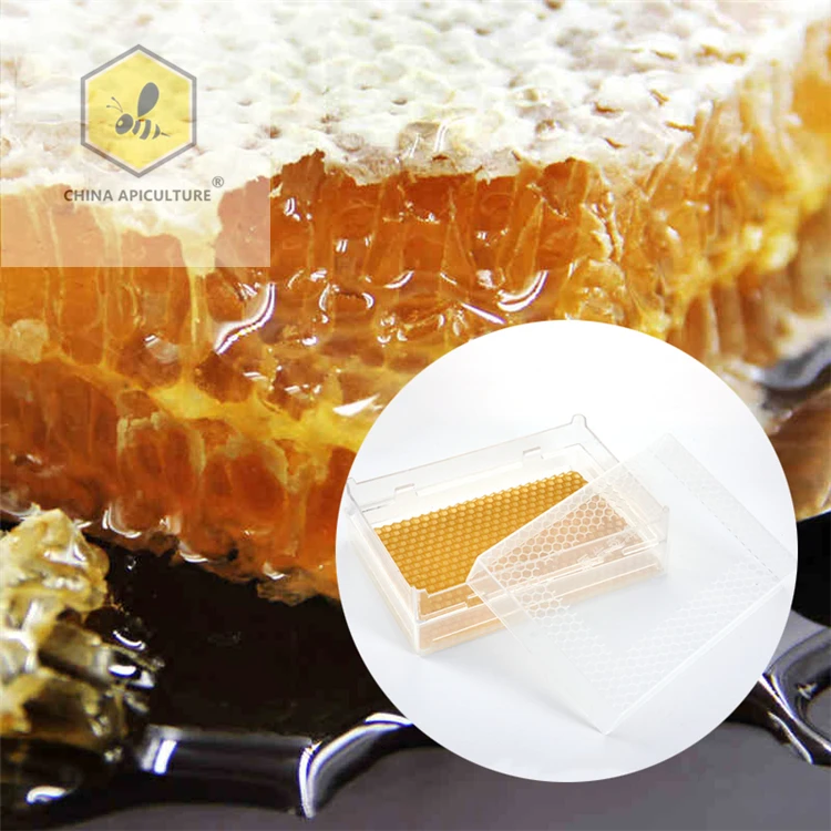Beekeeping Tools Bee Frames Plastic Comb Honey Box Comb Honey Cassette Buy Beekeeping Tools