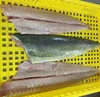Frozen Mahi Mahi Fish Fillet Indonesia Origin hot sale