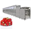 Industrial microwave dryer for drying tea/leaves/herbs