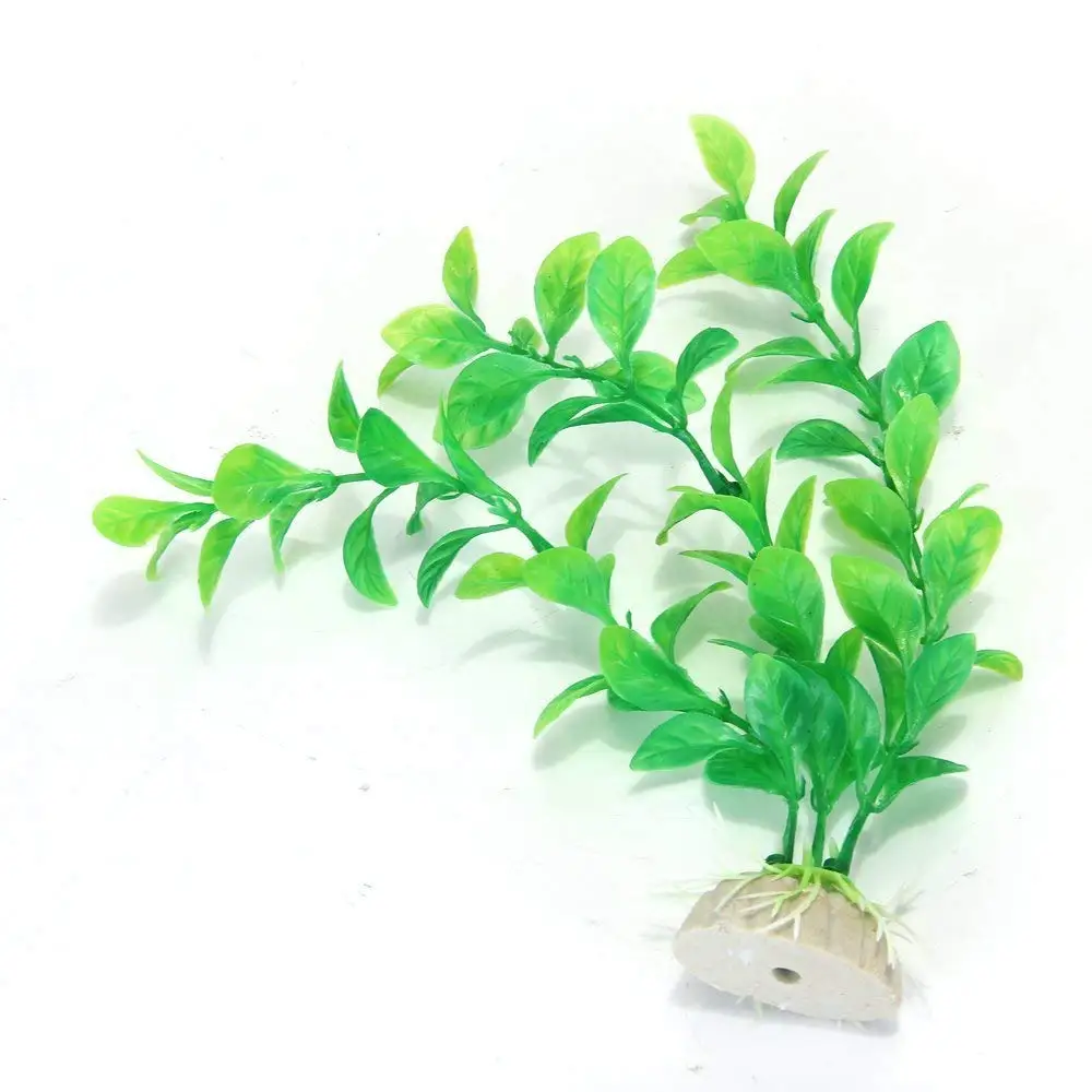 Fish plant