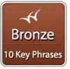 Search Engine Optimization Bronze SEO Plan
