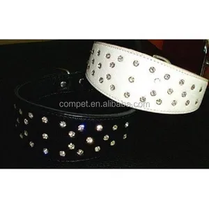 dog collar with stones