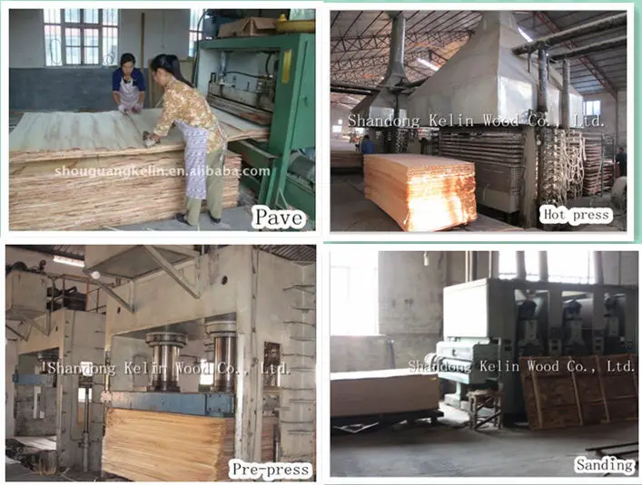 used for furniture plywood doors design
