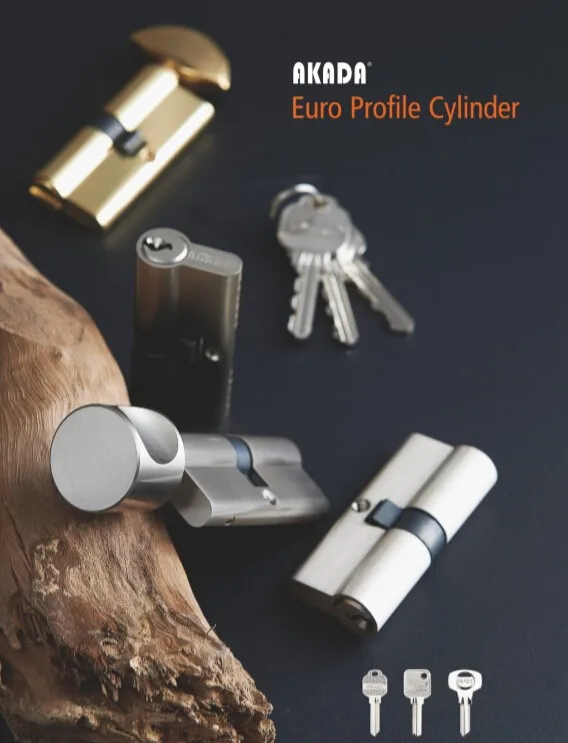 Euro Profile Pakistan Market Mortise Oval Lock Cylinder Single Open