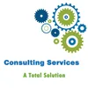 Top consulting firmsproject management casting consulting services