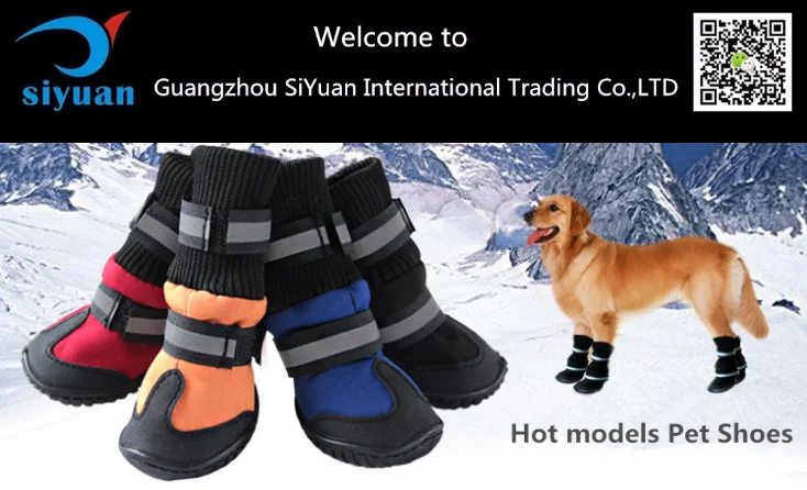 dog shoes price