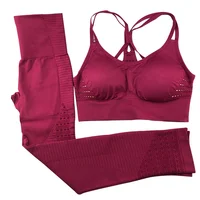 

Women Sportswear Seamless Bra Set Breathable Shape-Enhancing Yoga Set