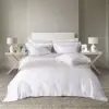 Grand High Quality 5-Star Quilt Cover Set Plush White Bed sheet 100% cotton superior 4pcs Comforter Set Quilt Cover Sets