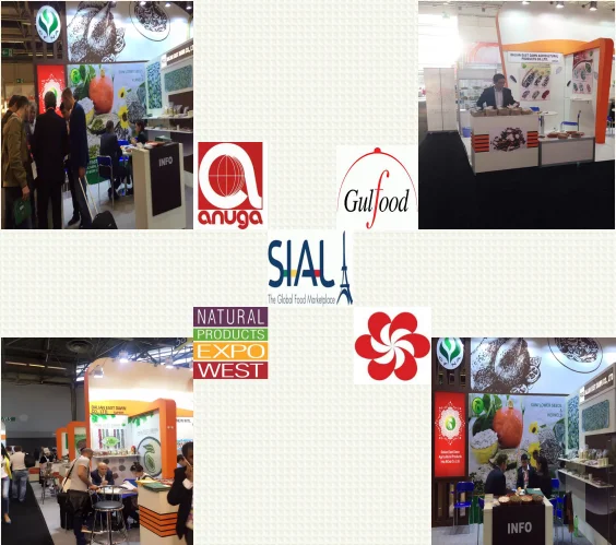 paste-pic-dp_uuid_zvbwt