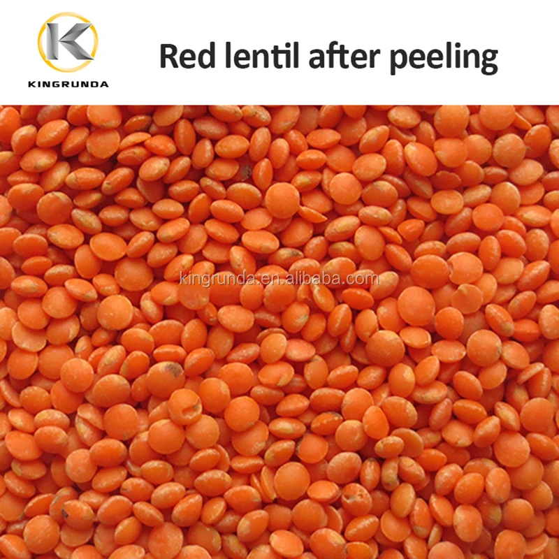 lentil 1.jpg