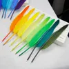Fashionable Writing Instrument, Nature Feather Pen
