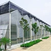 ISO9001 Agriculture Products Plastic PC sheet Covered Venlo Type Multi Span Green House For sale