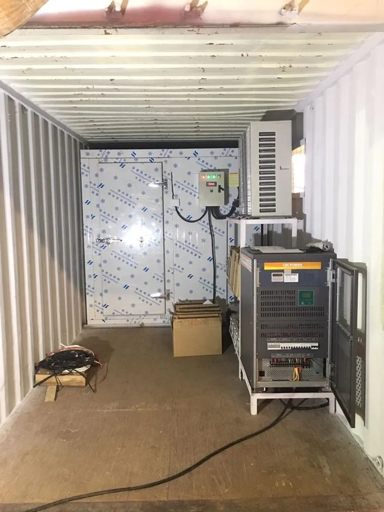 
20ft Mobile Container Best Solar power cold storage room for fish meat vegetable,ice store Solar cold room 