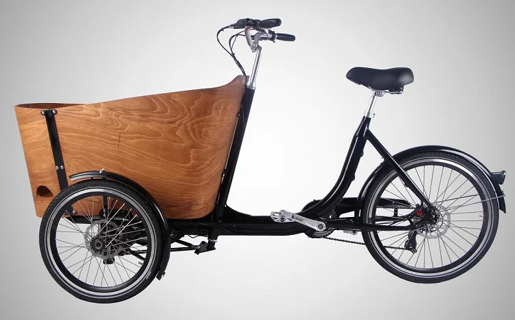 motorized 3 wheel bikes for adults