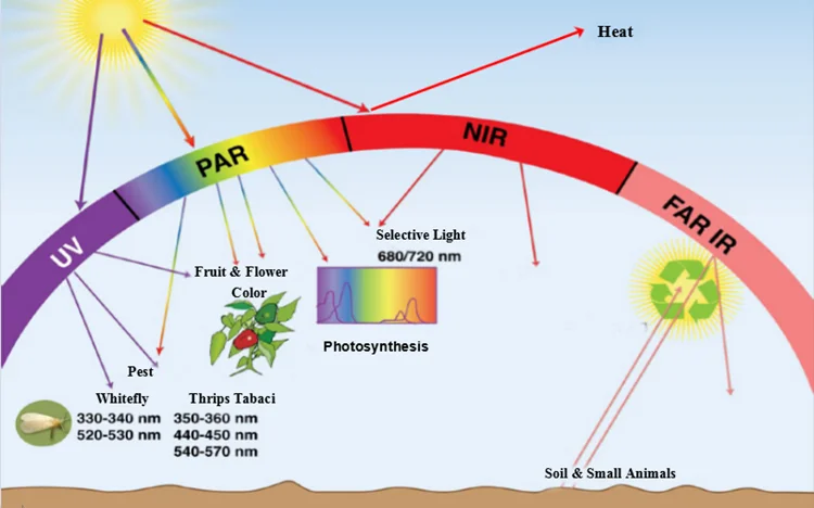 Agricultural Commercial Garden Use Greenhouse film for sale