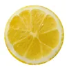 /product-detail/round-shape-lemon-slices-design-promotion-pp-plastic-placemat-60793695029.html