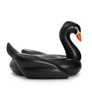 motorcycle pool float