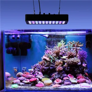 cool blue aquarium cool