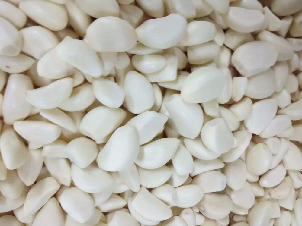 IQF Garlic cloves .jpg