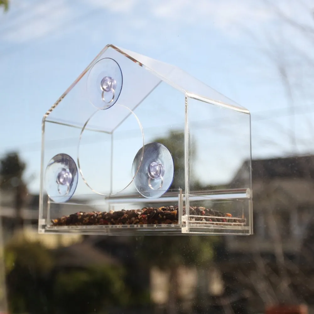 Squirrel Proof Acrylic Window Bird Feeder Buy Squirrel Proof Acrylic