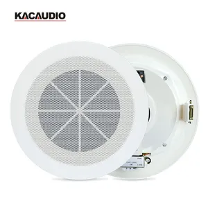 6W Audio System Ceiling Speaker