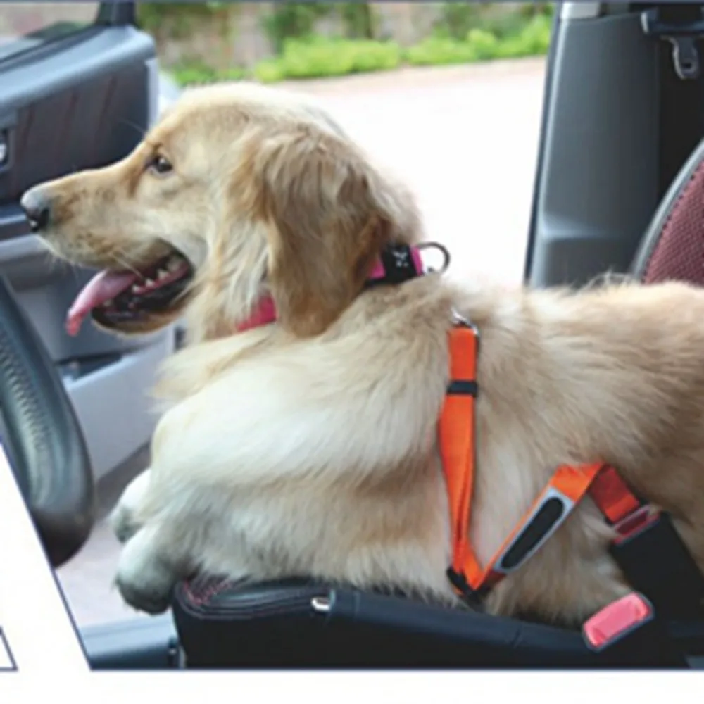 Confortable Dog Seat Belt Lead,Dog Seat Belt Tether Swivel,Dog Seat