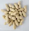 ground peanut shells