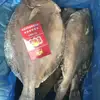 Wholesale Seafood Frozen Red Stingray Ray Fish/Raja Porosa Fillet