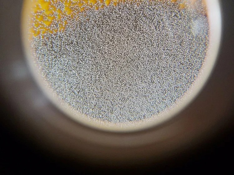 stainless steel shot (17).jpg